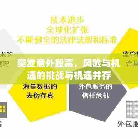 突发意外股票，风险与机遇的挑战与机遇并存