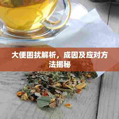 大便困扰解析，成因及应对方法揭秘