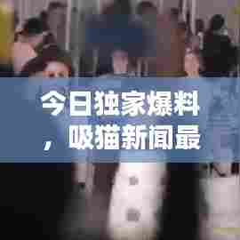 今日独家爆料，吸猫新闻最新动态速递