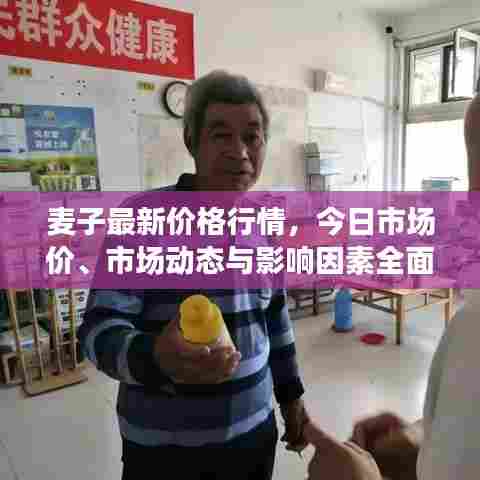 温文尔雅 第6页