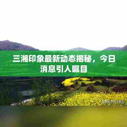 三湘印象最新动态揭秘，今日消息引人瞩目