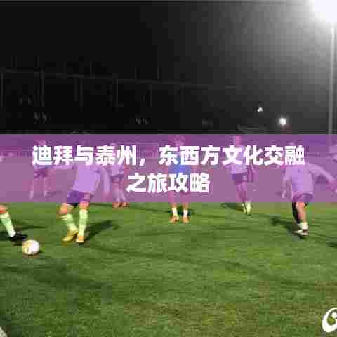 迪拜与泰州，东西方文化交融之旅攻略