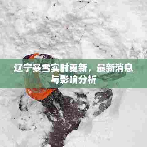 辽宁暴雪实时更新，最新消息与影响分析