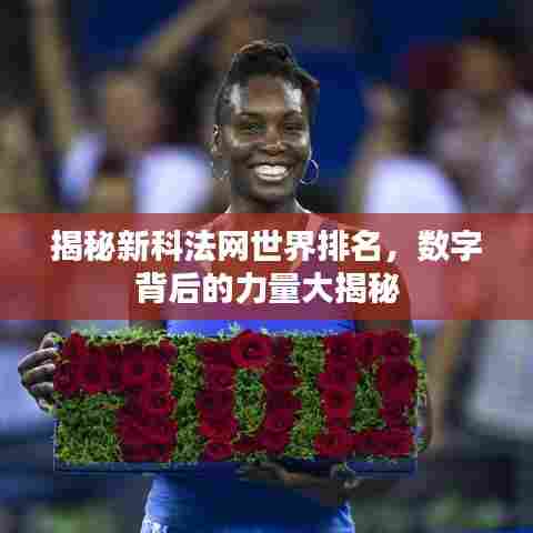 揭秘新科法网世界排名，数字背后的力量大揭秘