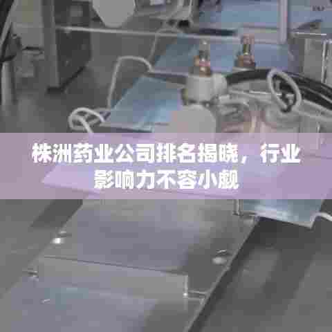 株洲药业公司排名揭晓，行业影响力不容小觑