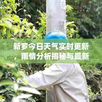 飞扬跋扈 第7页