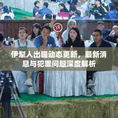 伊犁人出疆动态更新，最新消息与犯罪问题深度解析