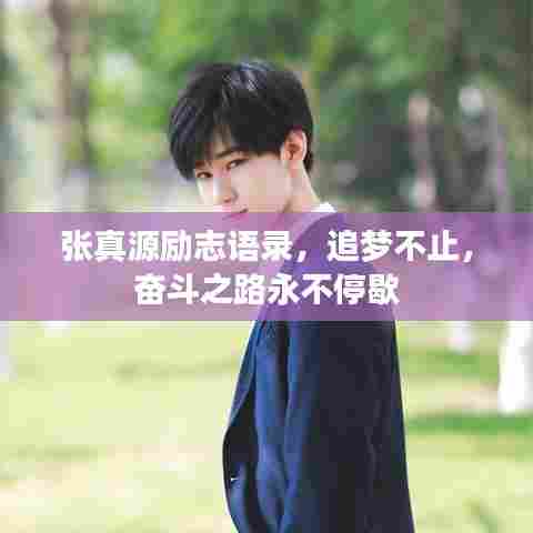 张真源励志语录，追梦不止，奋斗之路永不停歇