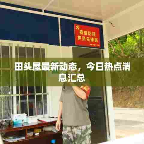 田头屋最新动态，今日热点消息汇总