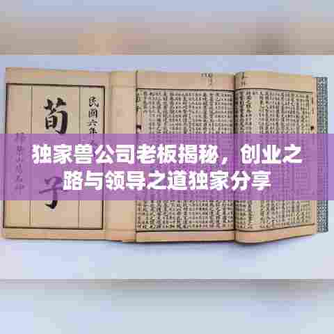 独家兽公司老板揭秘，创业之路与领导之道独家分享