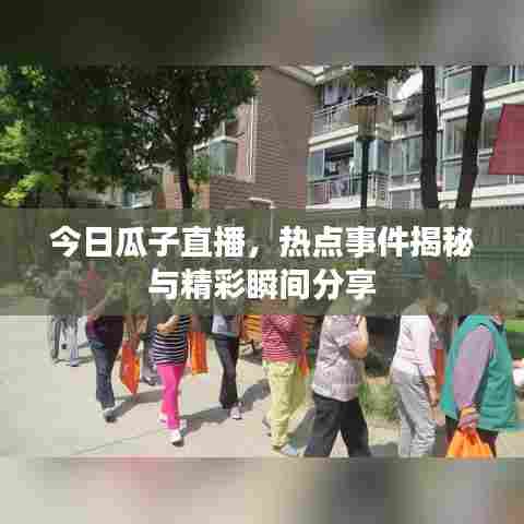今日瓜子直播，热点事件揭秘与精彩瞬间分享