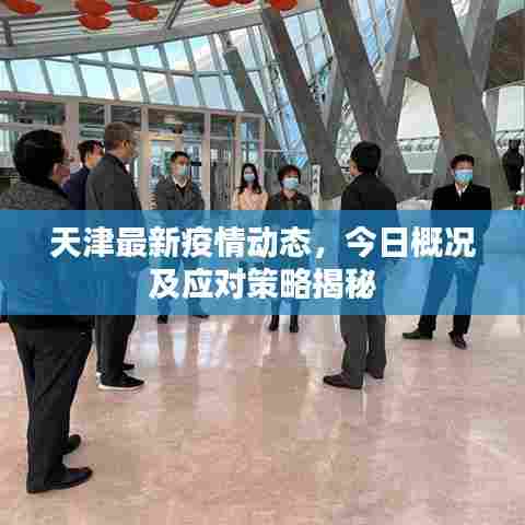 天津最新疫情动态，今日概况及应对策略揭秘