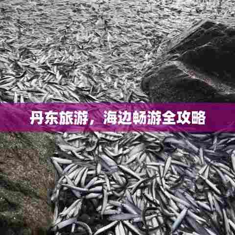 丹东旅游，海边畅游全攻略