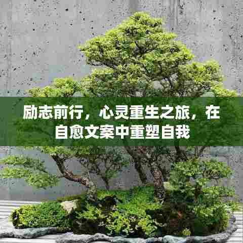 励志前行，心灵重生之旅，在自愈文案中重塑自我