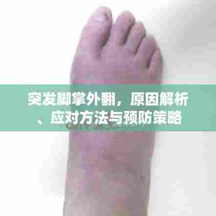 夫妻本是同林鸟 第6页