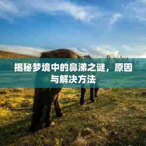 揭秘梦境中的鼻涕之谜，原因与解决方法