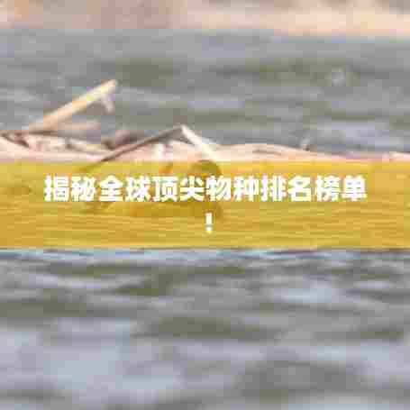 揭秘全球顶尖物种排名榜单！
