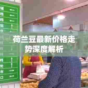 荷兰豆最新价格走势深度解析