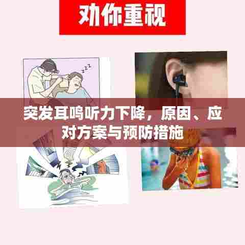 突发耳鸣听力下降，原因、应对方案与预防措施