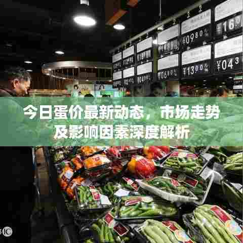 今日蛋价最新动态，市场走势及影响因素深度解析