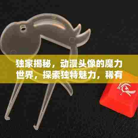 独家揭秘，动漫头像的魔力世界，探索独特魅力，稀有动漫头像图片大放送