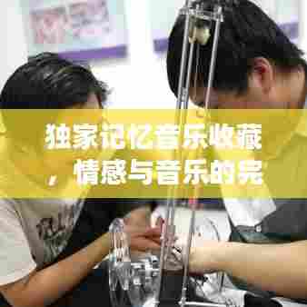 独家记忆音乐收藏，情感与音乐的完美交融