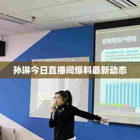 孙琳今日直播间爆料最新动态