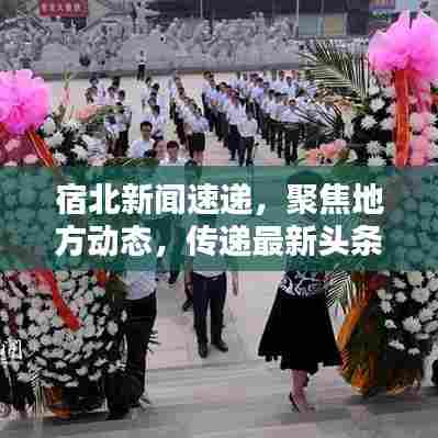 宿北新闻速递，聚焦地方动态，传递最新头条讯息