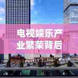 电视娱乐产业繁荣背后的观众新期待挑战与机遇