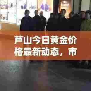 芦山今日黄金价格最新动态，市场走势与价值解读