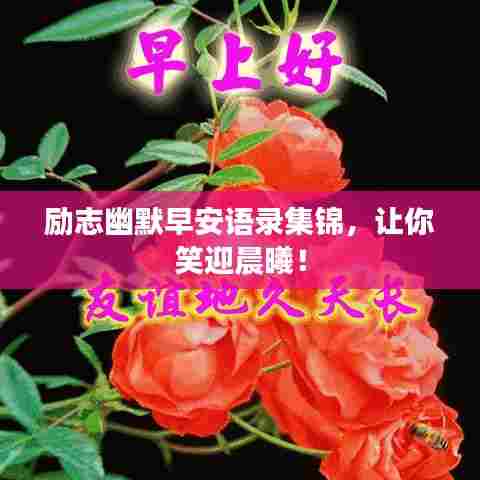 励志幽默早安语录集锦，让你笑迎晨曦！