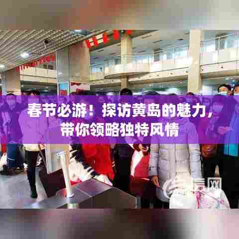 春节必游！探访黄岛的魅力，带你领略独特风情