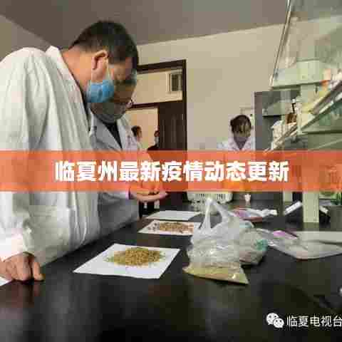 知错就改 第6页