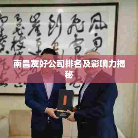 南昌友好公司排名及影响力揭秘