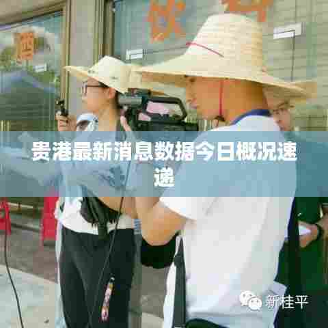 贵港最新消息数据今日概况速递