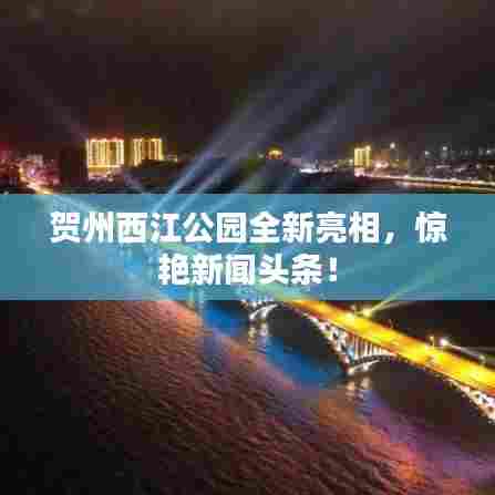 读书三到 第6页