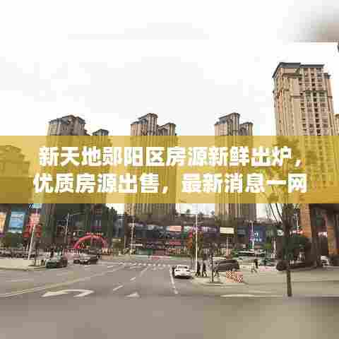 新天地郧阳区房源新鲜出炉，优质房源出售，最新消息一网打尽！