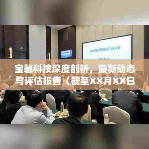 宝馨科技深度剖析，最新动态与评估报告（截至XX月XX日）