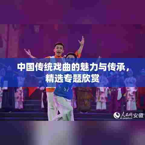中国传统戏曲的魅力与传承，精选专题欣赏