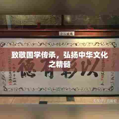 致敬国学传承，弘扬中华文化之精髓