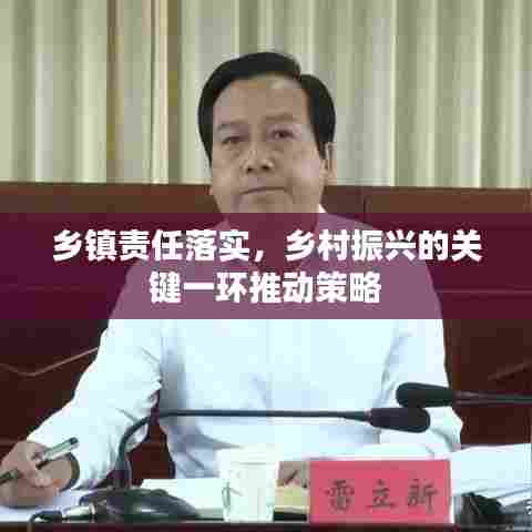 乡镇责任落实，乡村振兴的关键一环推动策略