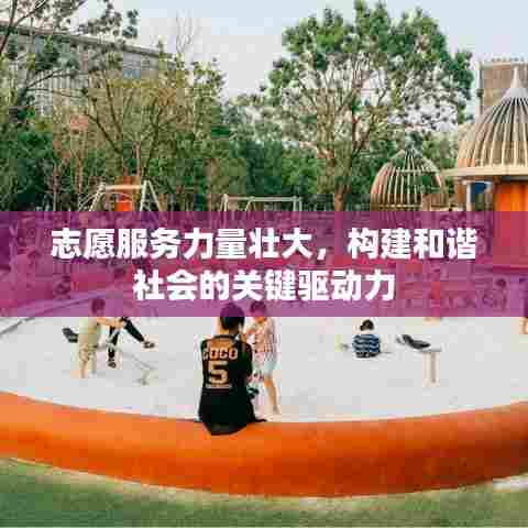 志愿服务力量壮大，构建和谐社会的关键驱动力