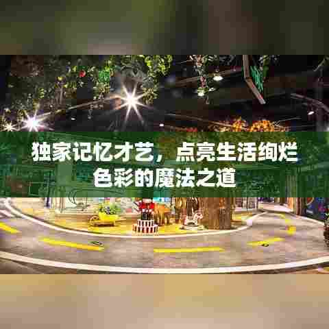 独家记忆才艺，点亮生活绚烂色彩的魔法之道