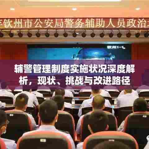 辅警管理制度实施状况深度解析，现状、挑战与改进路径