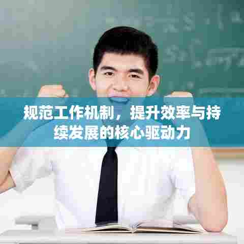 规范工作机制，提升效率与持续发展的核心驱动力