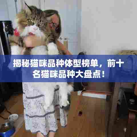 揭秘猫咪品种体型榜单，前十名猫咪品种大盘点！
