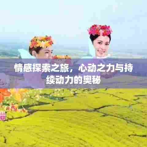 情感探索之旅，心动之力与持续动力的奥秘