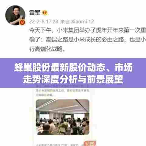 蜂巢股份最新股价动态、市场走势深度分析与前景展望