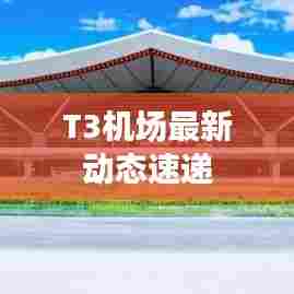 T3机场最新动态速递