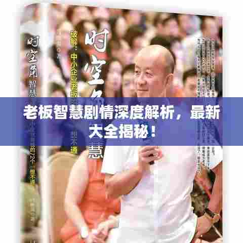 老板智慧剧情深度解析，最新大全揭秘！